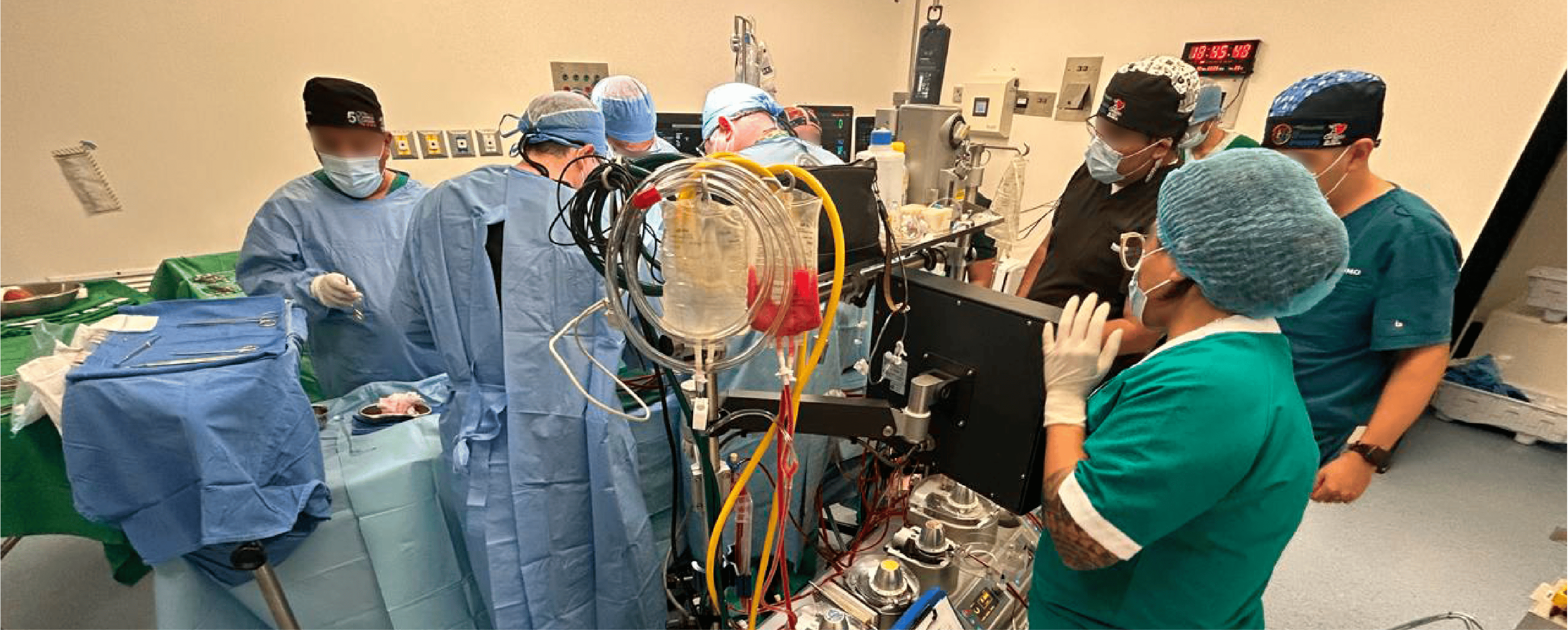 Servicios integrales